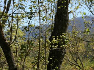 Bear Den Rd, Townsend, TN 37882