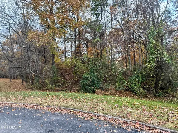 Tbd Grassy Cir, Gray, TN 37615