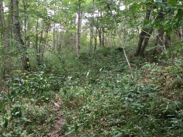 1095 Little Mountain Dr, Hillsboro, WV 24946