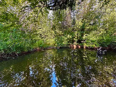 Property photo 72