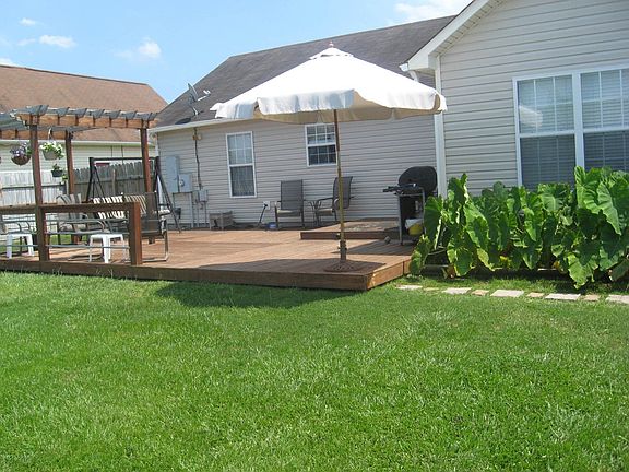 bck yard