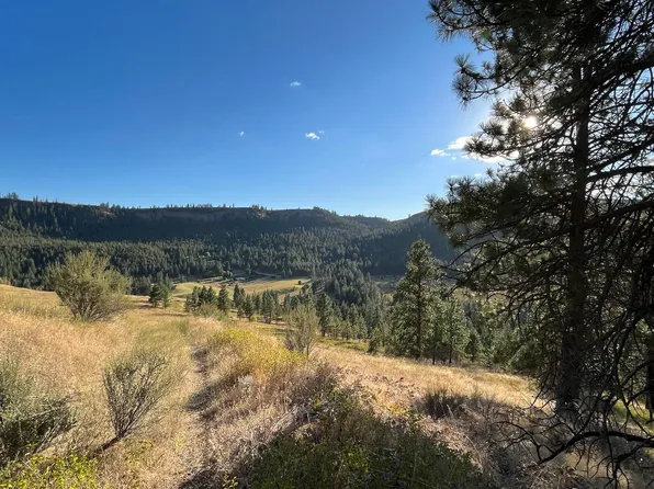 PARCEL & D #C, Davenport, WA 99122