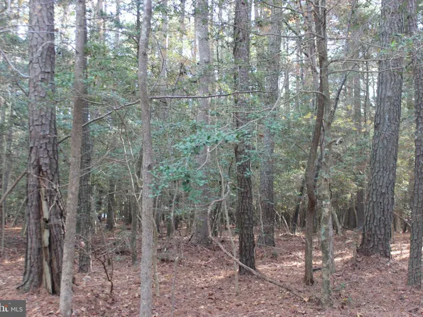 2033 Mayflower Dr, Greenbackville, VA 23356