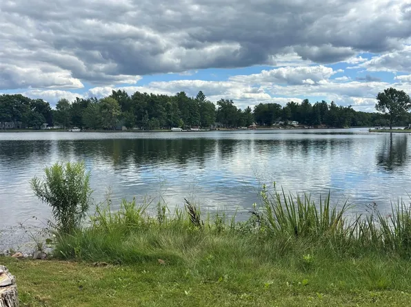 95 E Huckleberry Trl, Farwell, MI 48622