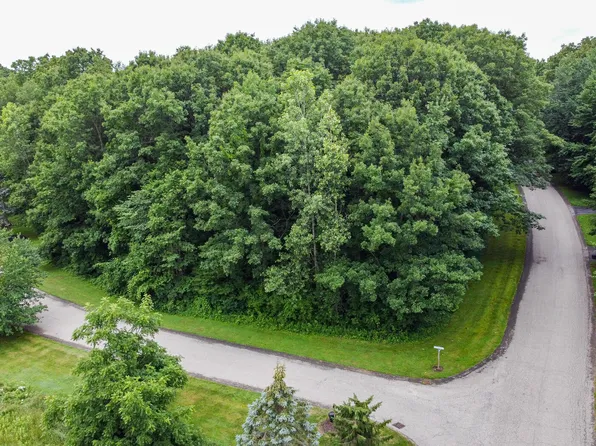 2928 Pickford Dr SE, Ada, MI 49301