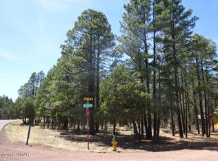 6 Willow Run, Lakeside, AZ 85929