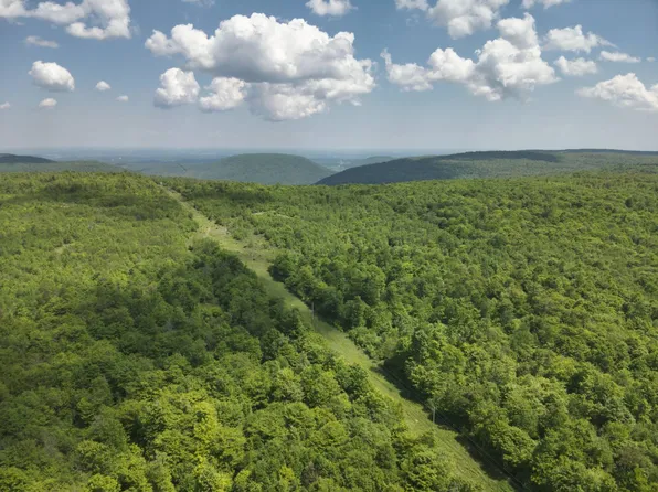 782 Santee Ln, Dushore, PA 18614
