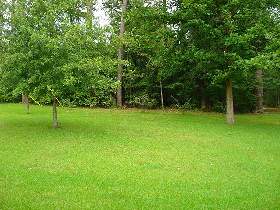 4th image of 145 Elm Dr