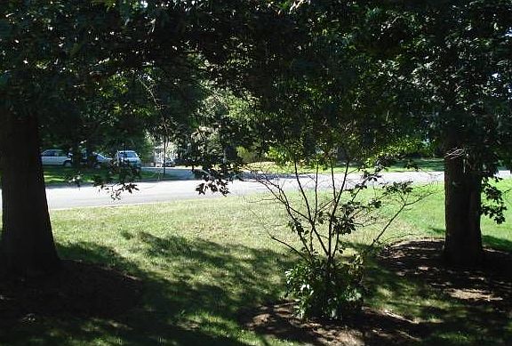 Front views