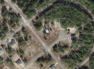 19 Malauka Radl #C/C, Ocklawaha, FL 32179