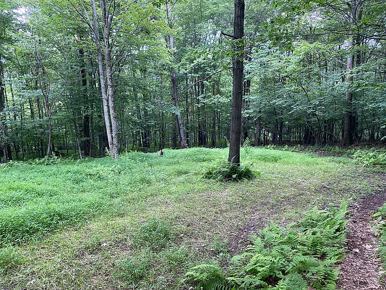 427 Summit Woods Rd — Photo 56
