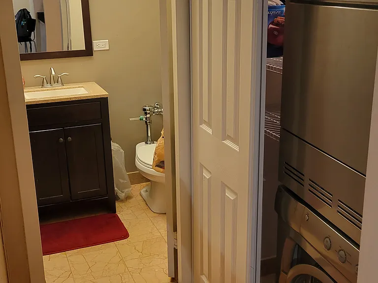 222 E Pearson St #1407 — Photo 16