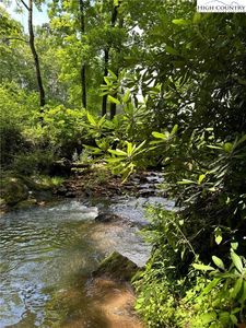 TBD Apple Ridge Road, Cana, VA, 24317