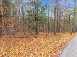 L11 Lassen Rd, Middleburgh, NY 12122