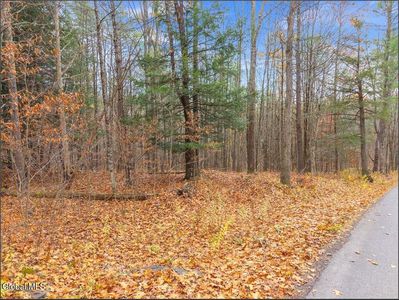 L1.1 Lassen Road, Middleburgh, NY, 12122