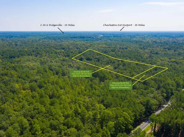 0 Dennis Britt Rd, Saint George, SC 29477