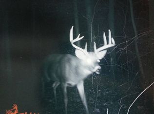 County Road 15 Holiday Road, granger, NY 14846