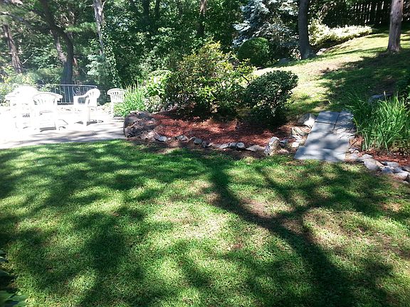 Patio and backyard