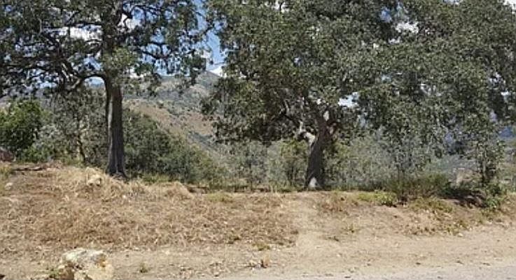 2nd image of 29170 Teresa Springs Rd