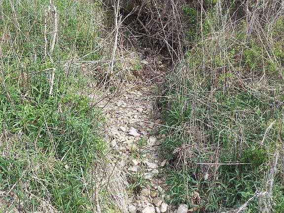 4th image of 64 Five Acres Cantwell Valley Rd