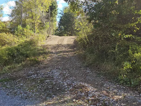 0 Foxwood Dr, Bruceton Mills, WV 26525