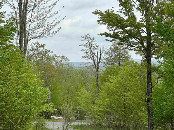 15 Casentino Ct, Davis, WV 26260