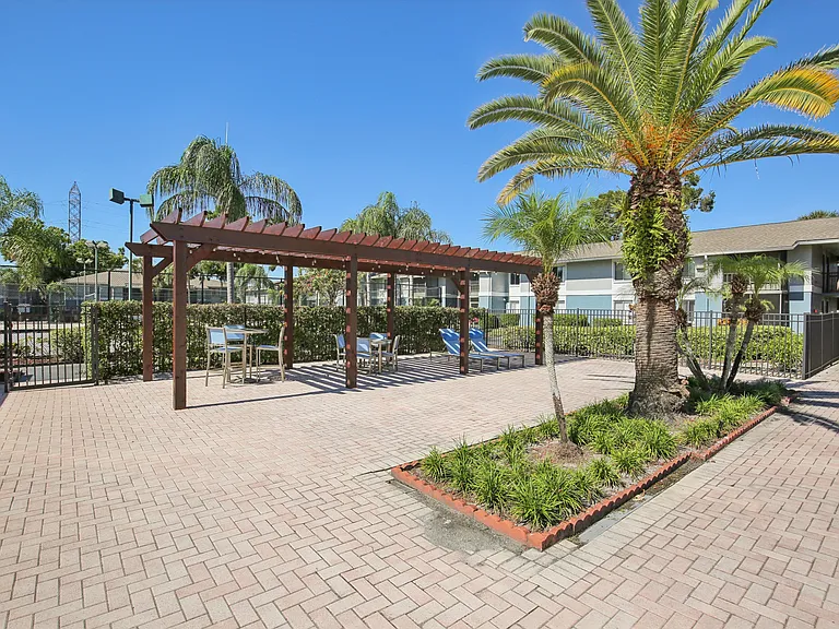 The Palms at Countryside Apartments — Photo 15