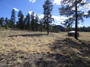 County Road 2271, Alpine, AZ 85920