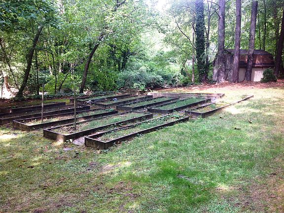 Try out your gardening skill