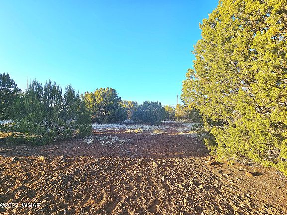 3rd image of 8693 Cox Dr