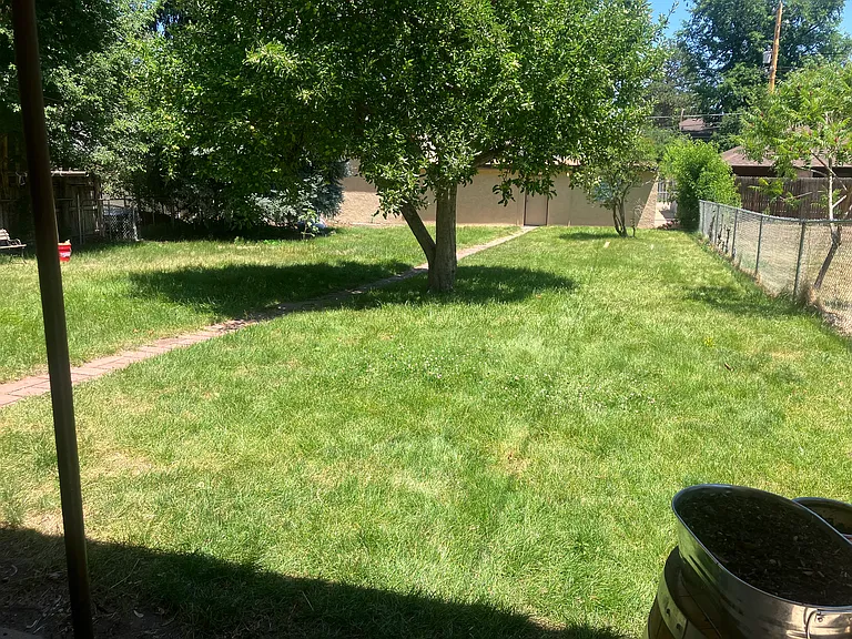 shared fenced backyard