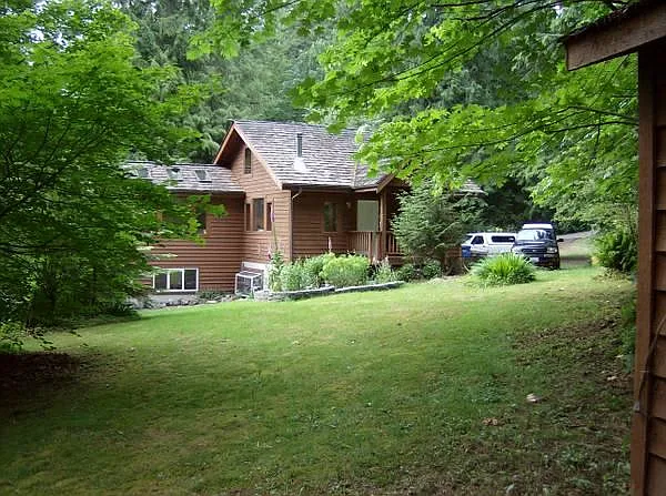 Large yard 1acre with large evergreens in back.