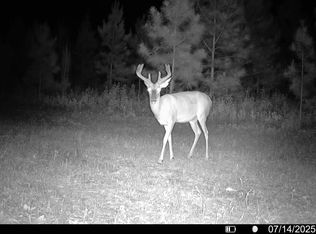 Cumbie Rd #2, Climax, GA 39834