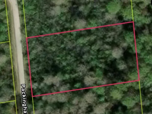 Packingham Dr Lot 10, Webster, FL 33597