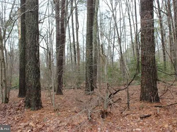 2104 Buccaneer Blvd, Greenbackville, VA 23356