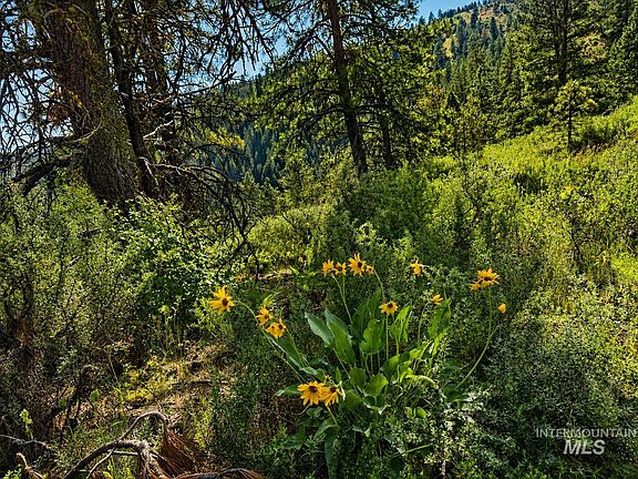 4th image of LOT 2 Mores Creek Heights