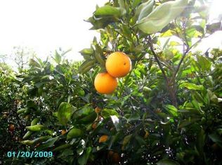 3919 Sebring Ave, Sebring, FL 33875