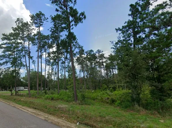 7A James Chapel Rd N, Holden, LA 70744