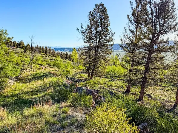 4924 Middle Fork Vis, Fairplay, CO 80440