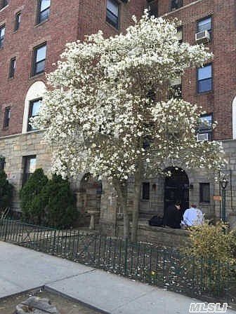 1st image of 7720 Austin St APT 5B