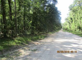 12905 S Crater Ter, Floral City, FL 34436