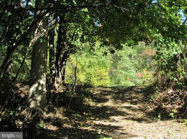 0 Silver Ln, Ashland, PA 17921