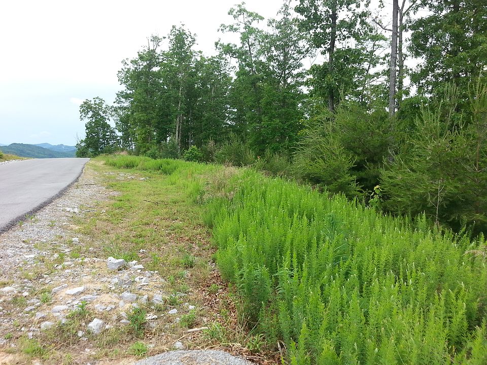 Lot #83 The Summit