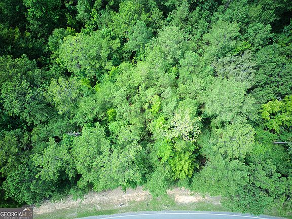 4th image of 0 Judge Brown Rd Parcel 100