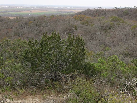 3rd image of TBD County Road 573 LOT 72