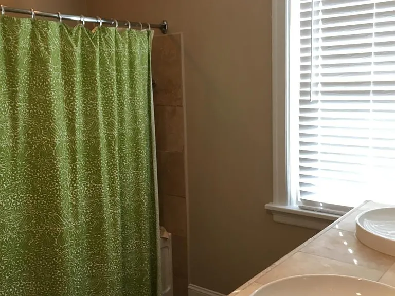 Master bathroom with full shower and bath