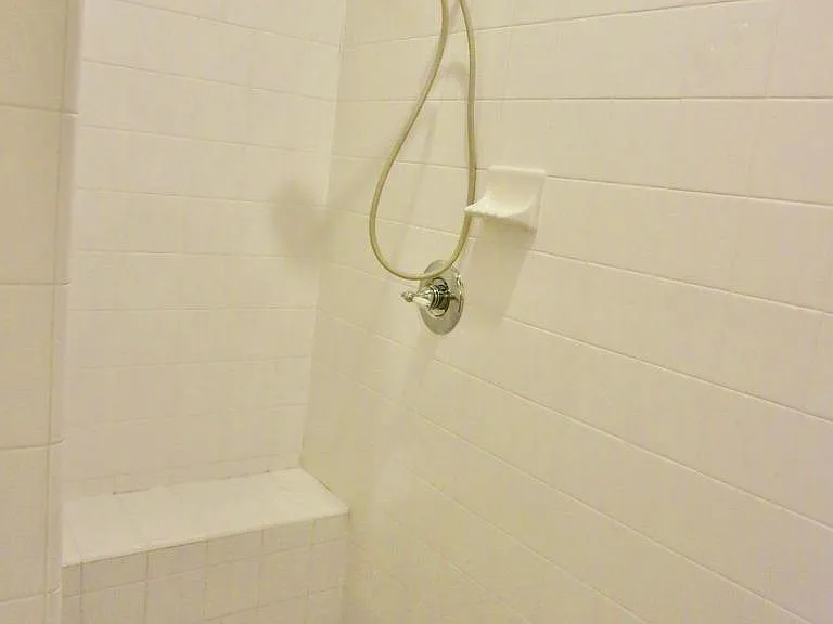 master shower dual head