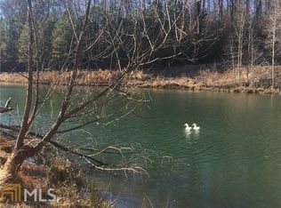225 Appalachian Springs Dr, Canton, GA 30115