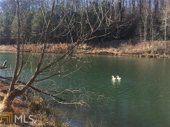 225 Appalachian Springs Dr, Canton, GA 30115