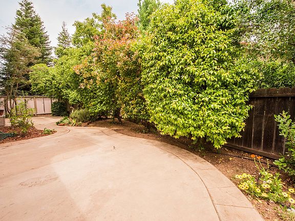 4th image of 2488 Starling Dr